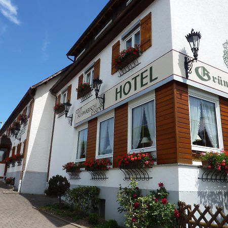 Hotel Landgasthof Gruener Baum Hochdorf  المظهر الخارجي الصورة